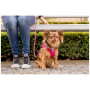 Curli Stretch Comfort Leash kutyapóráz