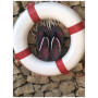 Gumbies Cairns Red flip-flop
