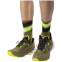 Dynafit Ultra 100 V3 Gtx férfi futócipő