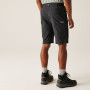 Regatta Highton Shorts Long II férfi rövidnadrág