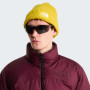 The North Face Salty Lined Beanie sapka