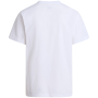 The North Face Evolution Simple Dome Regular Short Sleeve Tee férfi póló