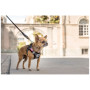 Curli Stretch Comfort Leash kutyapóráz