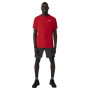 Salewa Pedroc 2 Dst M Shorts férfi rövidnadrág