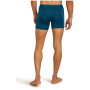 Icebreaker M Mer 125 Cool-Lite Anatomica Boxers férfi boxer