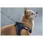 Curli Ultra Strong Pocket Leash kutyapóráz