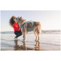 Ruffwear Swamp Cooler Harness kutyahám