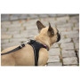 Curli Adjustable Leash Nylon kutyapóráz