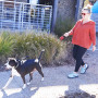 Nite Ize RadDog™ Retractable Pocket Leash kutyapóráz