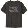 Patagonia M's '73 Skyline T-Shirt férfi póló