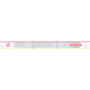 Síszemüveg Salomon Sense White Corail Neon