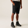 Regatta Highton Shorts Long II férfi rövidnadrág
