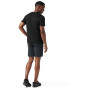Smartwool Merino Short Sleeve Tee Boxed férfi póló
