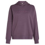 Icebreaker W Mer 360 RealFleece Elemental LS Hood női funkcionális pulóver lila Grey Plum