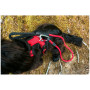 Mountain Paws Dog Harness kutyahám