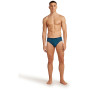 Icebreaker Mens Anatomica Briefs férfi alsó