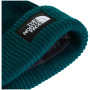 The North Face Salty Lined Beanie sapka