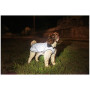 Mountain Paws Reflective Fleece-Lined Dog Raincoat kutyaesőkabát