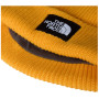 The North Face Salty Lined Beanie sapka
