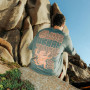 Wild Country Sequence Man T-shirt férfi póló