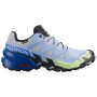 Salomon Speedcross 6 GTX Icon férfi futócipő