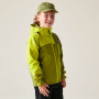 Dare 2b Explore III Jacket Golden Cypress gyerek dzseki