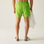 Regatta Mawson Swim Shorts III férfi fürdőnadrág