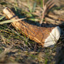 Explorer Dog Antler Chew easy játékszer kutyáknak