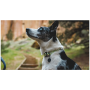 Ruffwear Knot-a-Collar™ kutyanyakörv