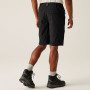 Regatta Highton Shorts Long II férfi rövidnadrág
